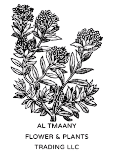 Al Tmaany