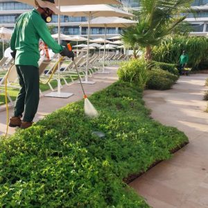 outdoor-plants-maintenance-img-2